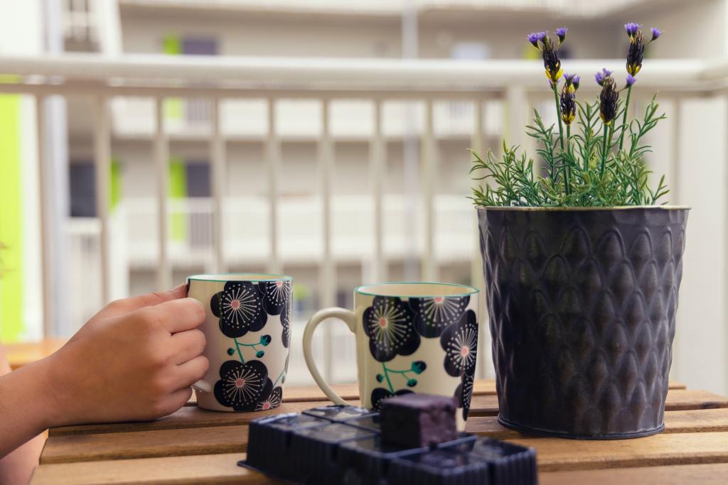 purple mugs and planter