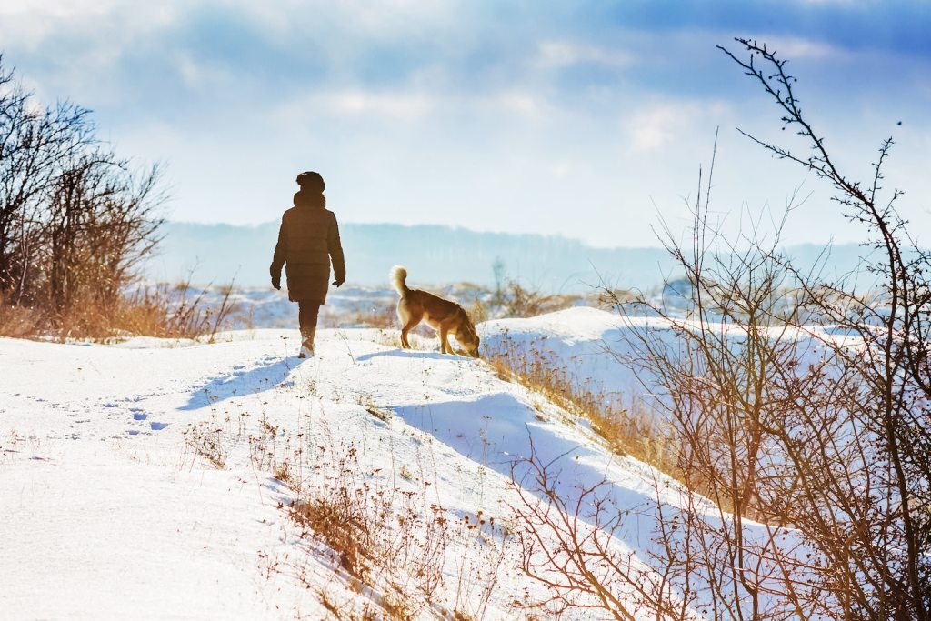 Girl with a dog during a walk in the woods in winter exercise productivity