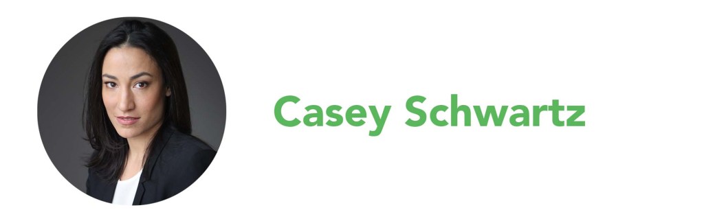 Casey Schwartz self and technology