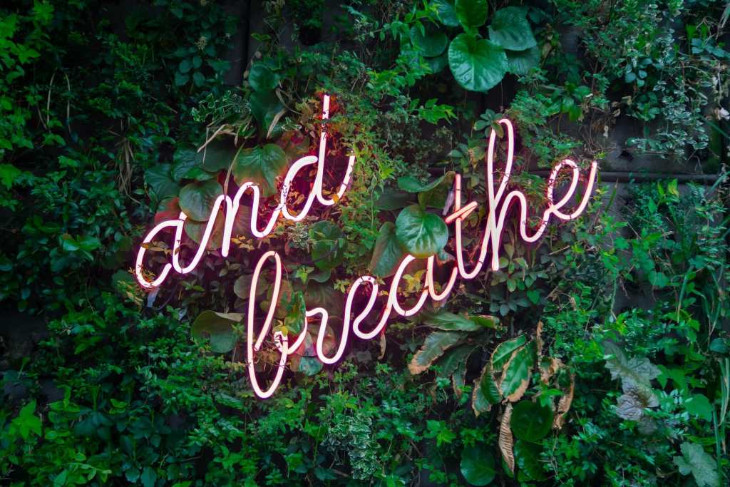 mindfulness breathe